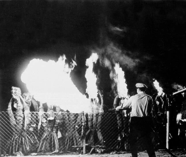 День триффидов (1963) в хорошем качестве скачать торрент файл День триффидов (1963) фильм в хорошем качестве скачать торрент файл