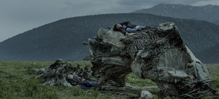 Капкан (2018) скачать торрент бесплатно Капкан (2018) фильм скачать торрент бесплатно