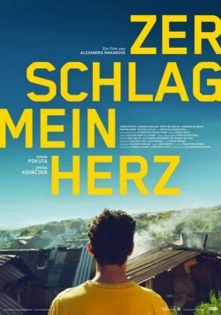 Разбей мое сердце / Zerschlag mein Herz (2018) фильм скачать через торрет бесплатно в хорошем качестве