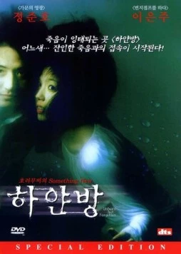 Нерождённый и всеми забытый / Hayanbang (2002) фильм скачать через торрет бесплатно в хорошем качестве