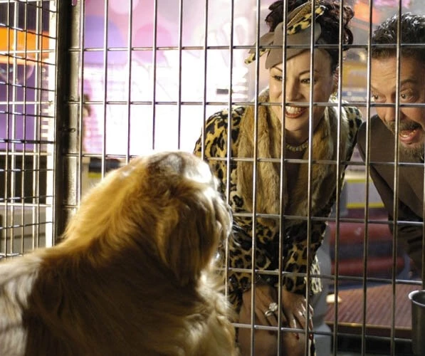 Миллиарды Бэйли (2005) в хорошем качестве скачать торрент файл Миллиарды Бэйли (2005) фильм в хорошем качестве скачать торрент файл