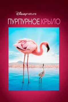 Пурпурное крыло / The Crimson Wing: Mystery of the Flamingos (2008) фильм скачать через торрет бесплатно в хорошем качестве