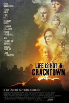 Веселая жизнь в Крэктауне / Life Is Hot in Cracktown (2008) фильм скачать через торрет бесплатно в хорошем качестве