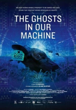 Призраки в нашей машине / The Ghosts in Our Machine (2013) фильм скачать через торрет бесплатно в хорошем качестве