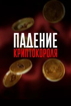 Падение криптокороля / Downfall of the Crypto King (2024) фильм скачать через торрет бесплатно в хорошем качестве