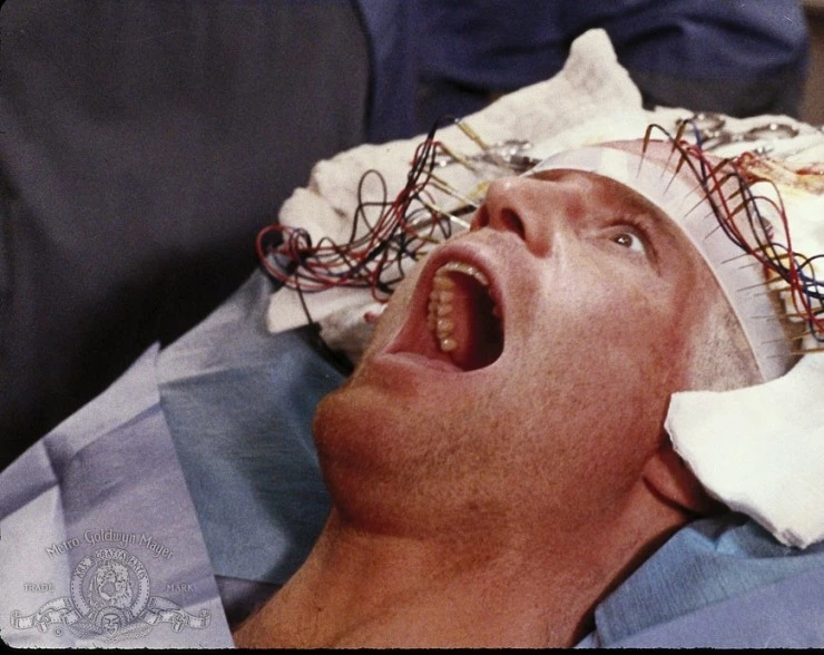 Обезьяна-убийца (1988) скачать торрент бесплатно Обезьяна-убийца (1988) фильм скачать торрент бесплатно