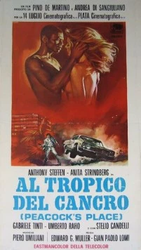 Тропик Рака / Al tropico del cancro (1972) фильм скачать через торрет бесплатно в хорошем качестве