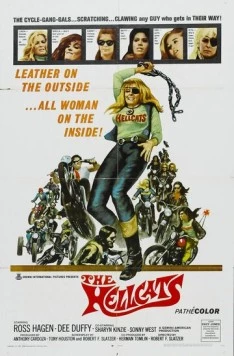 Адские киски / The Hellcats (1968) фильм скачать через торрет бесплатно в хорошем качестве