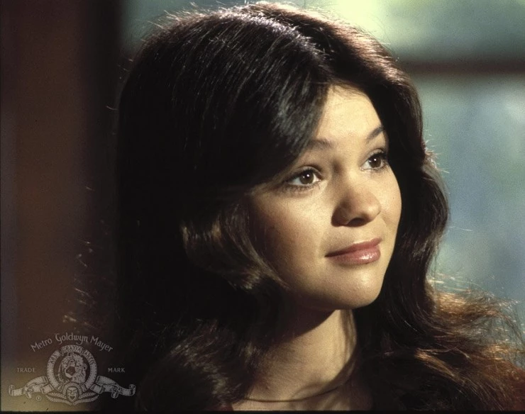 Собачья охранная система дома (1979) скачать торрент файл Собачья охранная система дома (1979) фильм скачать торрент файл