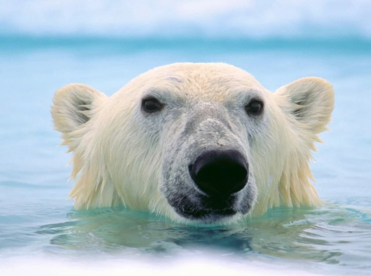 Картины в его жизни (2019) скачать торрент бесплатно Картины в его жизни (2019) фильм скачать торрент бесплатно