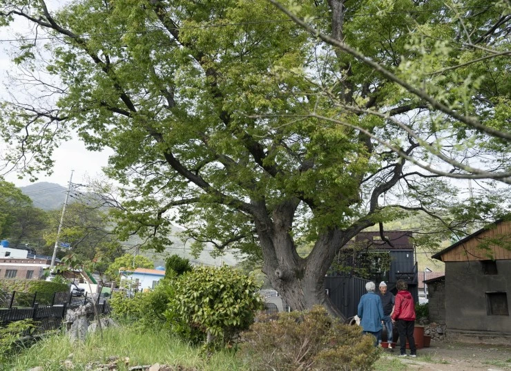 Пикник (2023) скачать торрент файл Пикник (2023) фильм скачать торрент файл