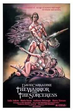 Воин и колдунья / The Warrior and the Sorceress (1984) фильм скачать через торрет бесплатно в хорошем качестве