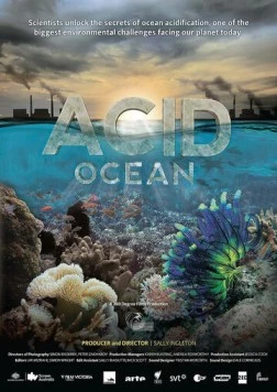 Кислотный океан / Acid Ocean (2014) фильм скачать через торрет бесплатно в хорошем качестве