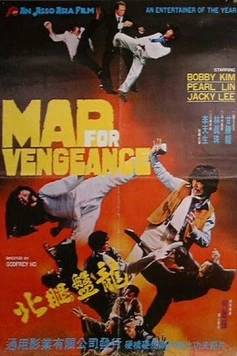 Безумная месть / Mad For Vengeance (1977) фильм скачать через торрет бесплатно в хорошем качестве