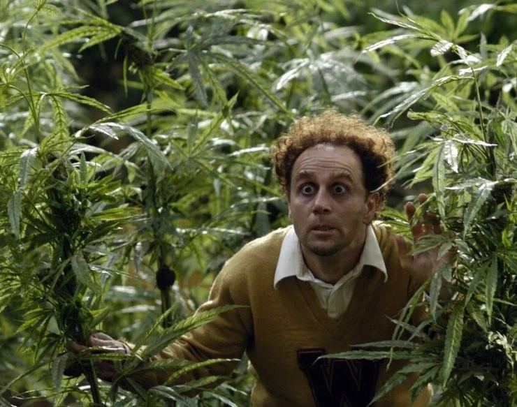 Сумасшествие вокруг марихуаны: Киномюзикл (2005) скачать торрент бесплатно Сумасшествие вокруг марихуаны: Киномюзикл (2005) фильм скачать торрент бесплатно