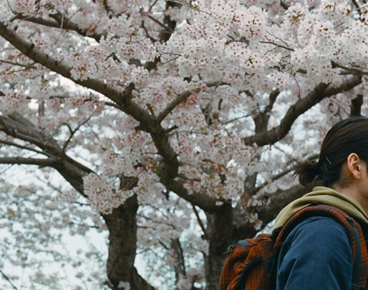 Великое отсутствие (2023) скачать торрент файл Великое отсутствие (2023) фильм скачать торрент файл