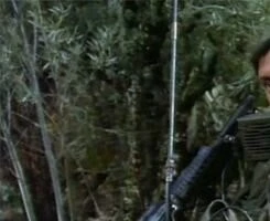 Хроники вьетнамской войны (1989) скачать торрент бесплатно Хроники вьетнамской войны (1989) фильм скачать торрент бесплатно