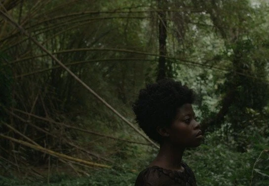 Кваку Ананси (2013) в хорошем качестве скачать торрент файл Кваку Ананси (2013) фильм в хорошем качестве скачать торрент файл