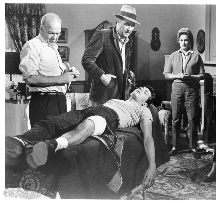 Паника в нулевом году (1962) скачать торрент бесплатно Паника в нулевом году (1962) фильм скачать торрент бесплатно