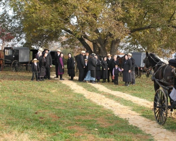 Отлучение (2011) скачать торрент бесплатно Отлучение (2011) фильм скачать торрент бесплатно