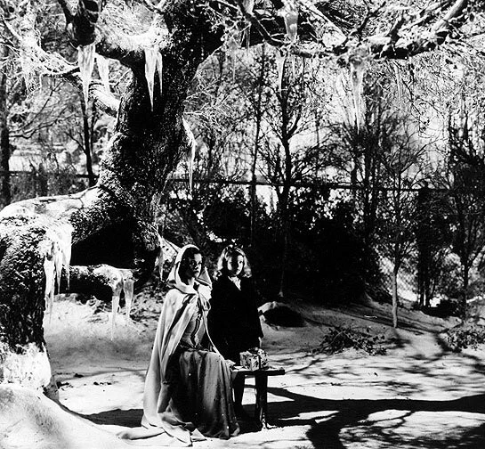 Проклятие людей-кошек (1944) скачать торрент бесплатно Проклятие людей-кошек (1944) фильм скачать торрент бесплатно