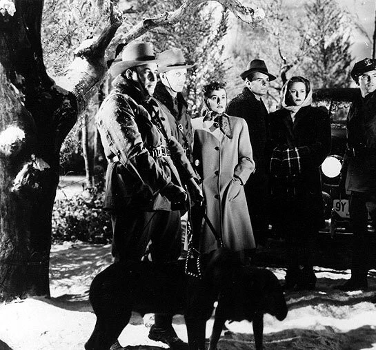 Проклятие людей-кошек (1944) в хорошем качестве скачать торрент файл Проклятие людей-кошек (1944) фильм в хорошем качестве скачать торрент файл