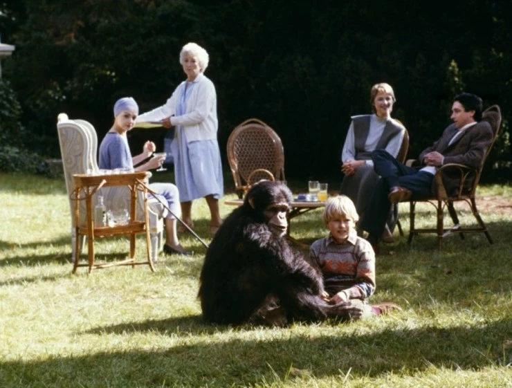 Макс, моя любовь (1986) в хорошем качестве скачать торрент файл Макс, моя любовь (1986) фильм в хорошем качестве скачать торрент файл