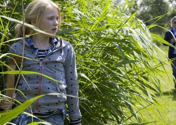 Секретное письмо (2010) скачать торрент файл Секретное письмо (2010) фильм скачать торрент файл