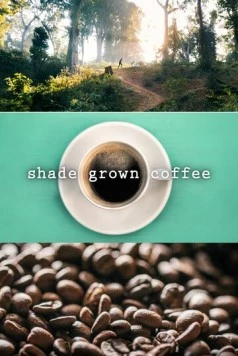 Кофе в тени / Shade Grown Coffee (2020) фильм скачать через торрет бесплатно в хорошем качестве
