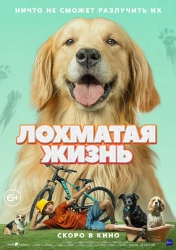 Лохматая жизнь / Алдагдсан өдрүүд (2023) фильм скачать через торрет бесплатно в хорошем качестве