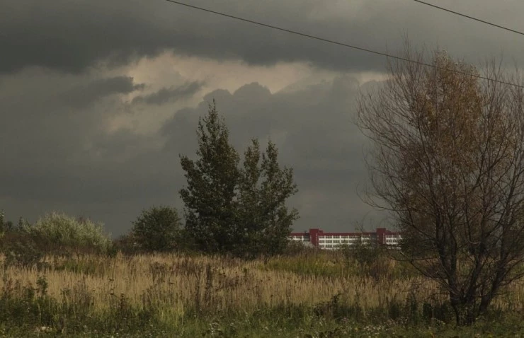 Пастух (2012) скачать торрент файл Пастух (2012) фильм скачать торрент файл