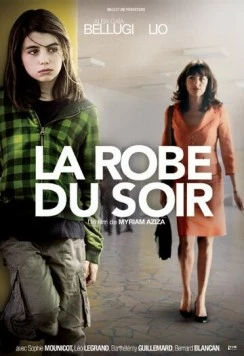 Вечернее платье / La robe du soir (2009) фильм скачать через торрет бесплатно в хорошем качестве