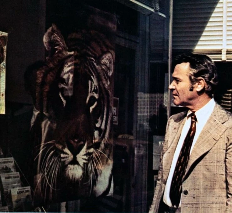 Спасите тигра (1973) скачать торрент бесплатно Спасите тигра (1973) фильм скачать торрент бесплатно