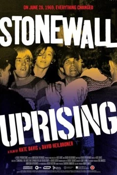 Стоунволльский бунт / Stonewall Uprising (2010) фильм скачать через торрет бесплатно в хорошем качестве
