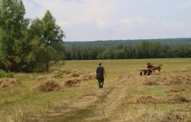 Живи, солдат, живи (2015) в хорошем качестве скачать торрент файл Живи, солдат, живи (2015) фильм в хорошем качестве скачать торрент файл