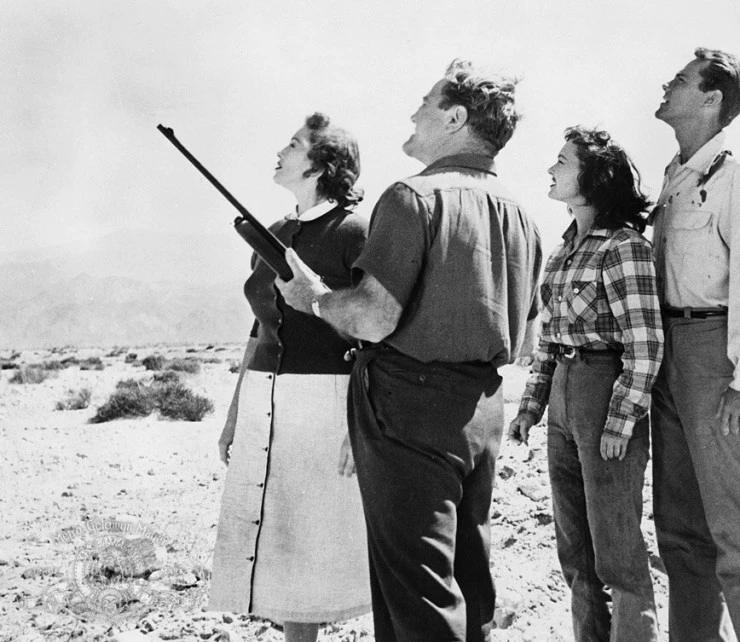 Чудовище с миллионом глаз (1955) в хорошем качестве скачать торрент файл Чудовище с миллионом глаз (1955) фильм в хорошем качестве скачать торрент файл