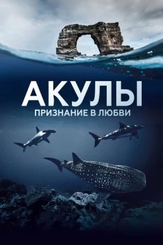 Акулы. Признание в любви / Au plus près des requins (2022) cериал скачать через торрет бесплатно в хорошем качестве