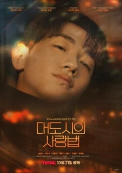 Любовь в большом городе / Daedosiui sarangbeom (2024) cериал скачать через торрет бесплатно в хорошем качестве