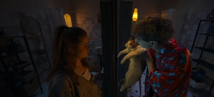 Сводишь с ума (2025) скачать торрент файл Сводишь с ума (2025) фильм скачать торрент файл