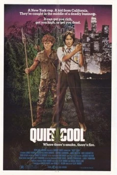 Тихая прохлада / Quiet Cool (1986) фильм скачать через торрет бесплатно в хорошем качестве