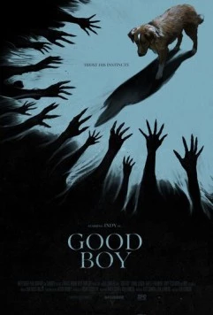 Хороший мальчик / Good Boy (2025) фильм скачать через торрет бесплатно в хорошем качестве