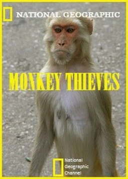 Обезьяны-воришки / Monkey Thieves (2008) cериал скачать через торрет бесплатно в хорошем качестве