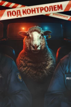 Под контролем 2025 смотреть онлайн cериал в хорошем качестве