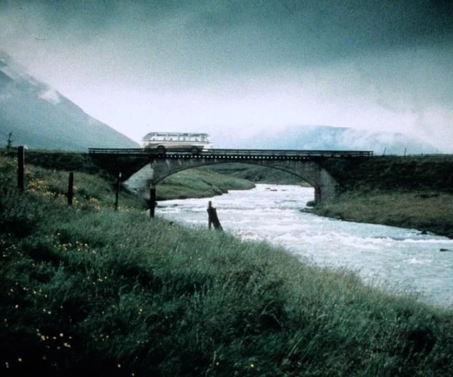 Дни кино (1993) скачать торрент бесплатно Дни кино (1993) фильм скачать торрент бесплатно