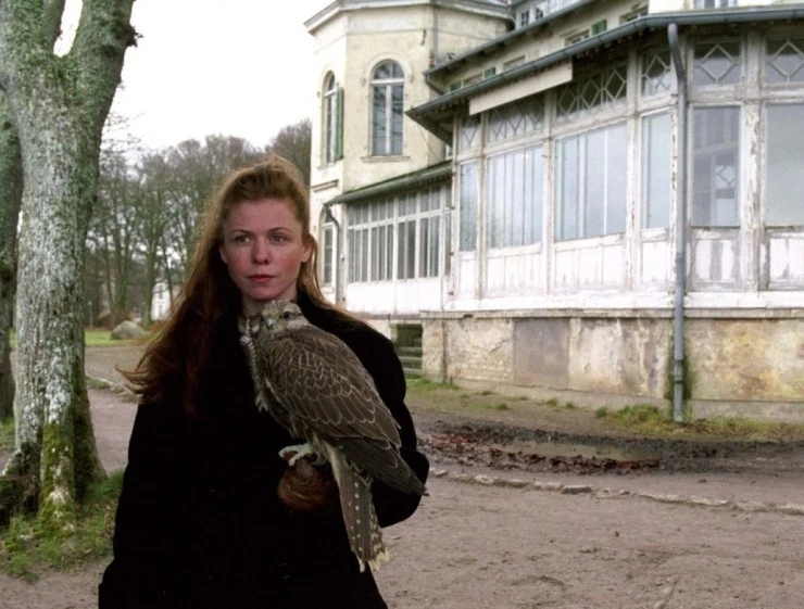 Соколы (2002) скачать торрент бесплатно Соколы (2002) фильм скачать торрент бесплатно