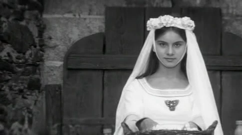 Долина пчел (1967) скачать торрент бесплатно Долина пчел (1967) фильм скачать торрент бесплатно