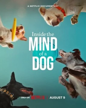 О чем думают собаки / Inside the Mind of a Dog (2024) фильм скачать через торрет бесплатно в хорошем качестве