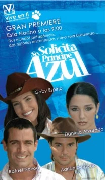 В поисках идеального мужчины / Se solicita príncipe azul (2005) фильм скачать через торрет бесплатно в хорошем качестве