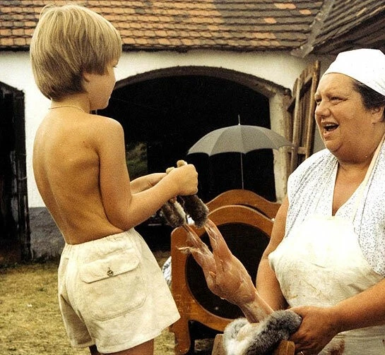 Экспериментатор (1984) скачать торрент бесплатно Экспериментатор (1984) фильм скачать торрент бесплатно