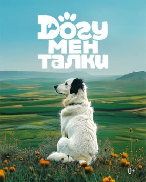 Догументалки (2025) фильм скачать через торрет бесплатно в хорошем качестве